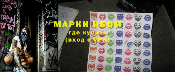 шишки Бородино