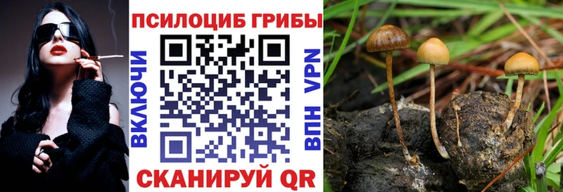 цены   Куйбышев  Псилоцибиновые грибы мицелий 